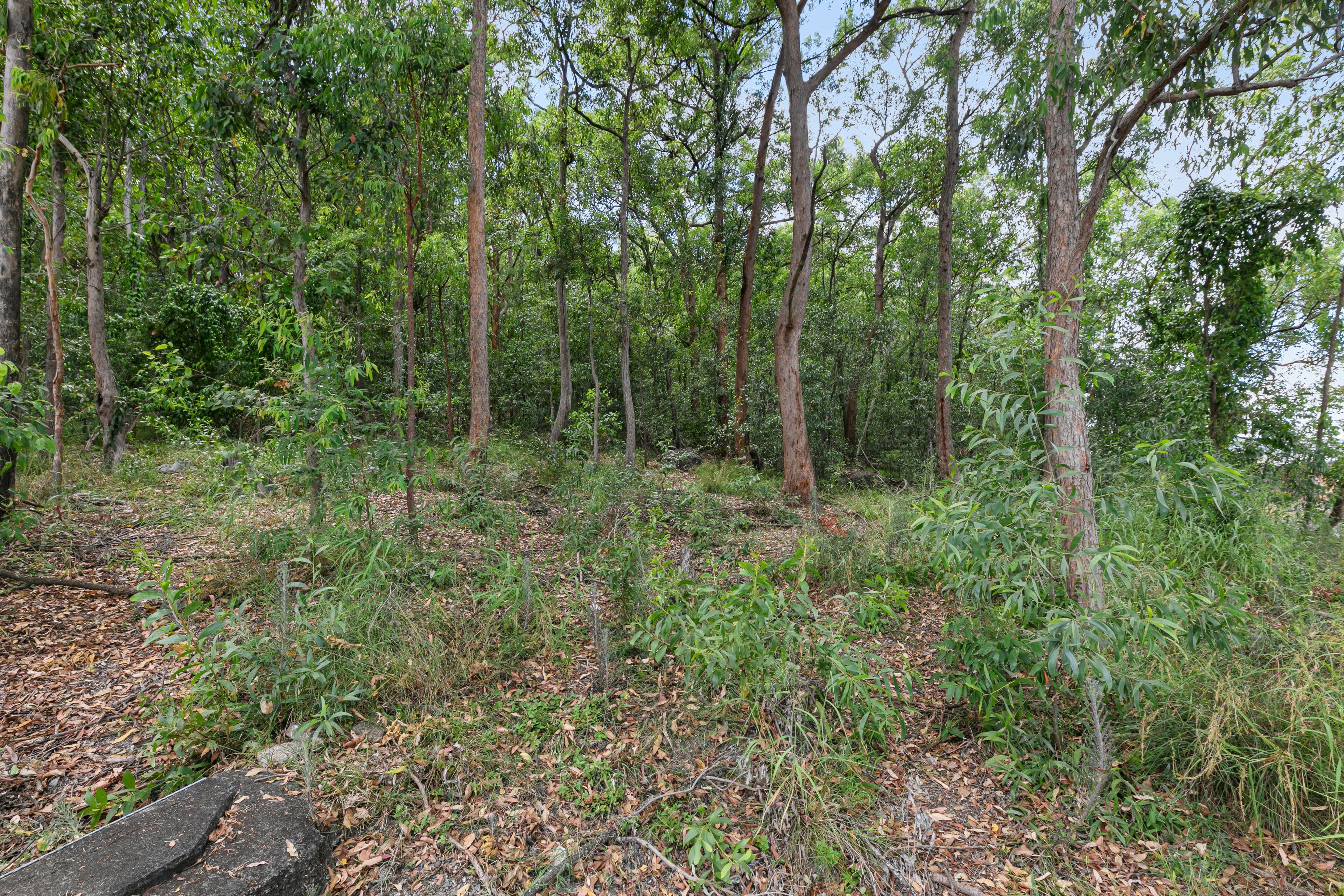 514 Tarragindi Road, Moorooka QLD 4105, Moorooka - Thumbnail 6