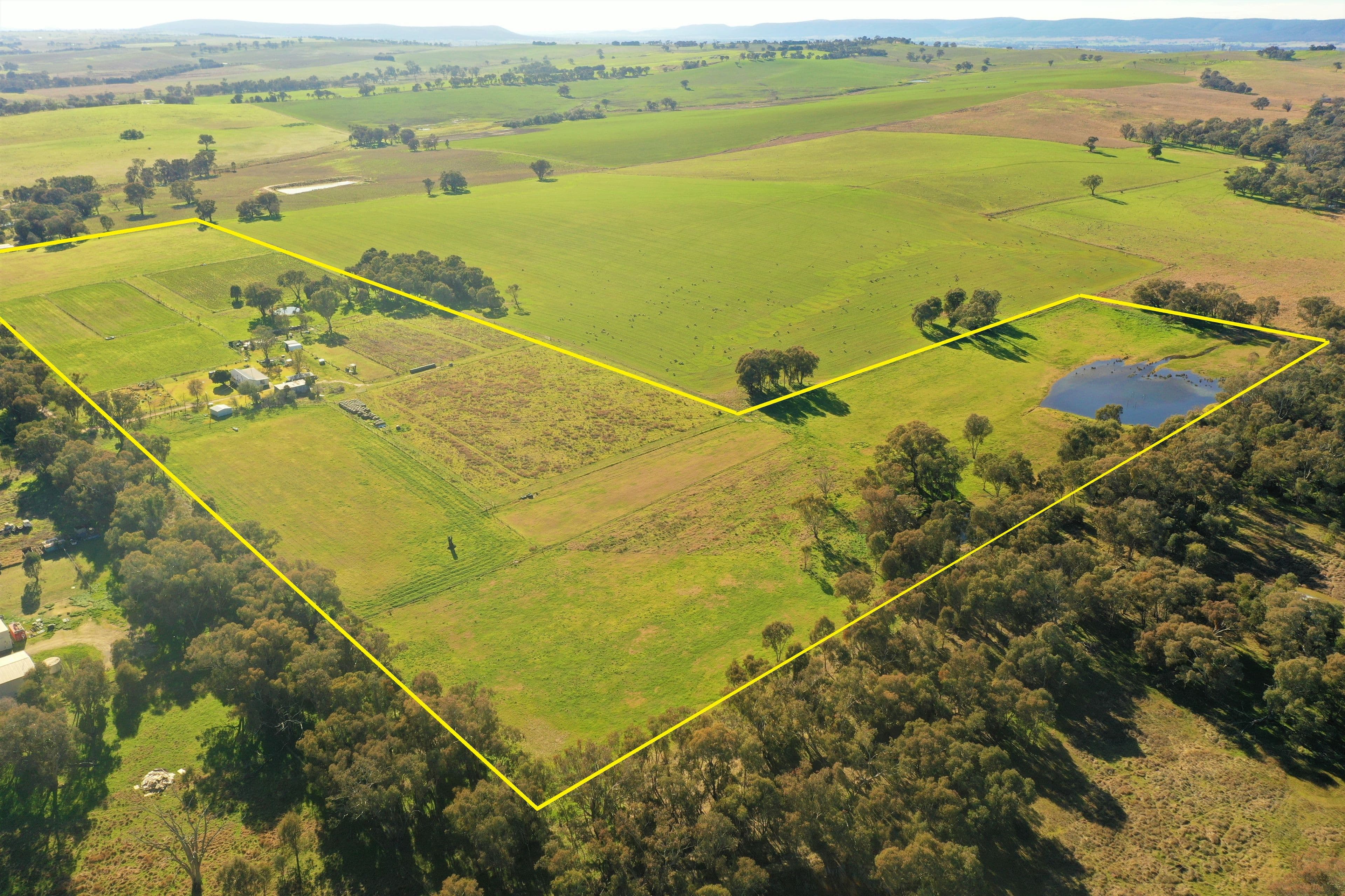 38 Fowler Street, Monteagle Via, Young NSW 2594, Monteagle - Image 1