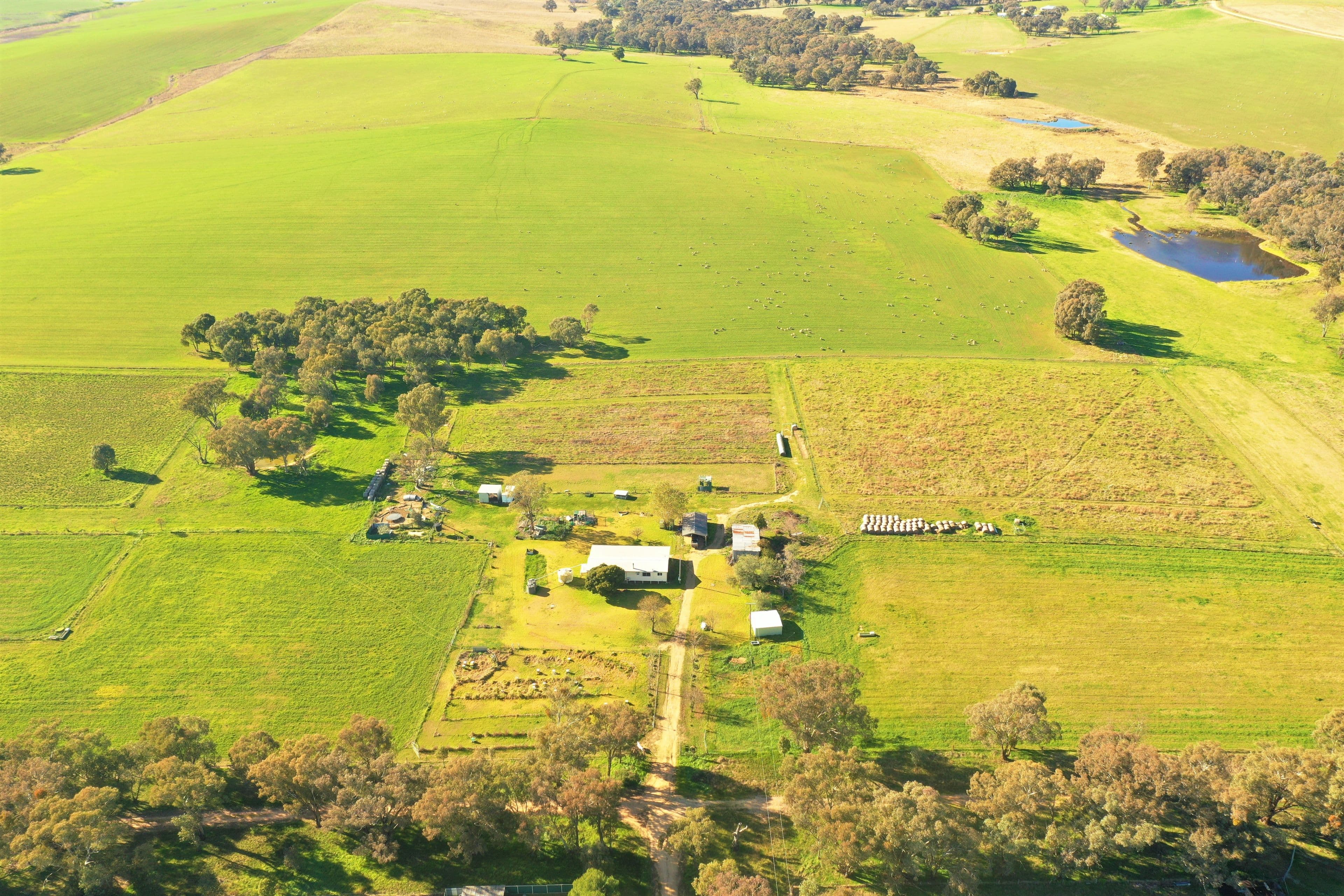 38 Fowler Street, Monteagle Via, Young NSW 2594, Monteagle - Thumbnail 2