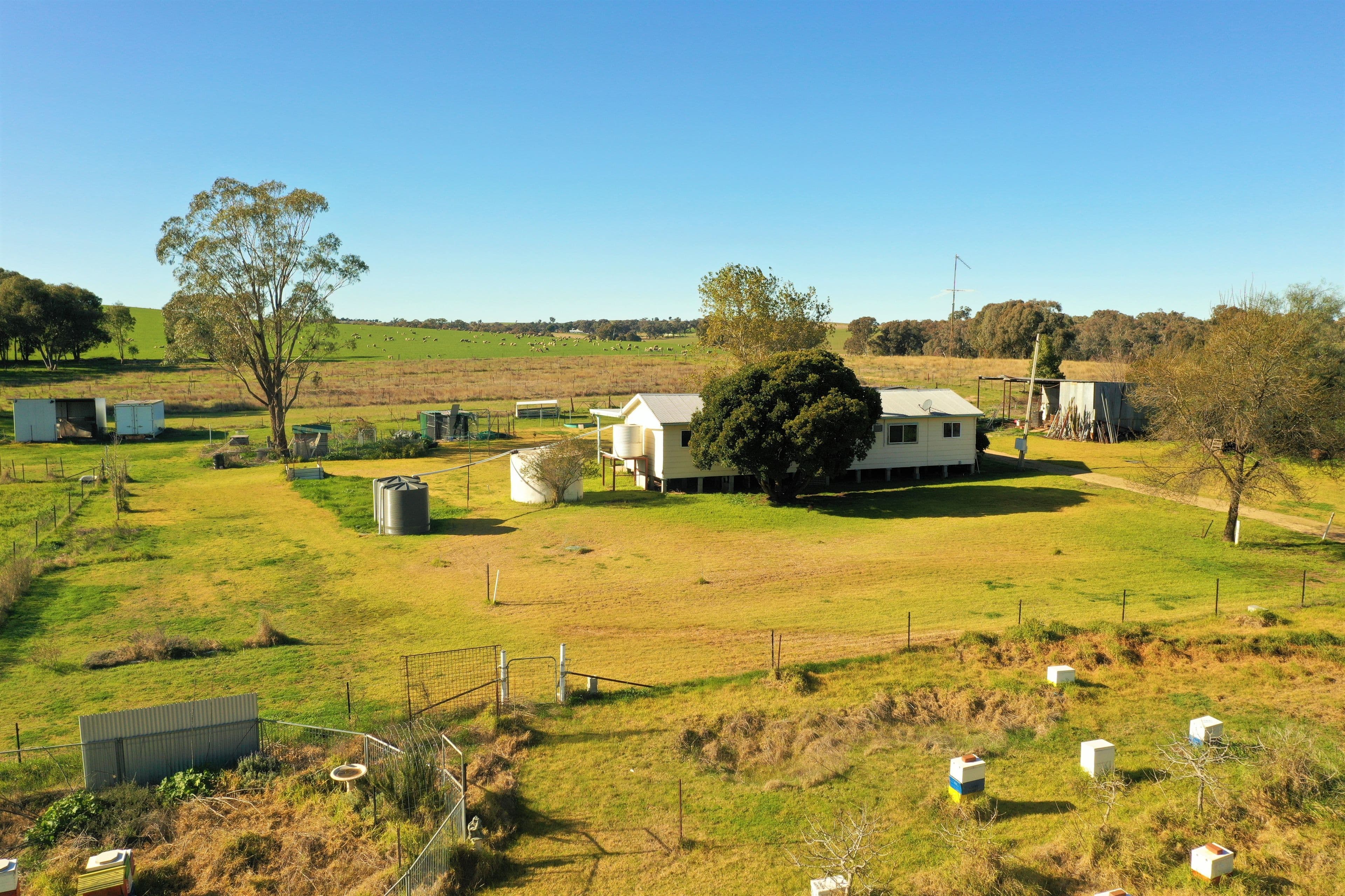 38 Fowler Street, Monteagle Via, Young NSW 2594, Monteagle - Thumbnail 3