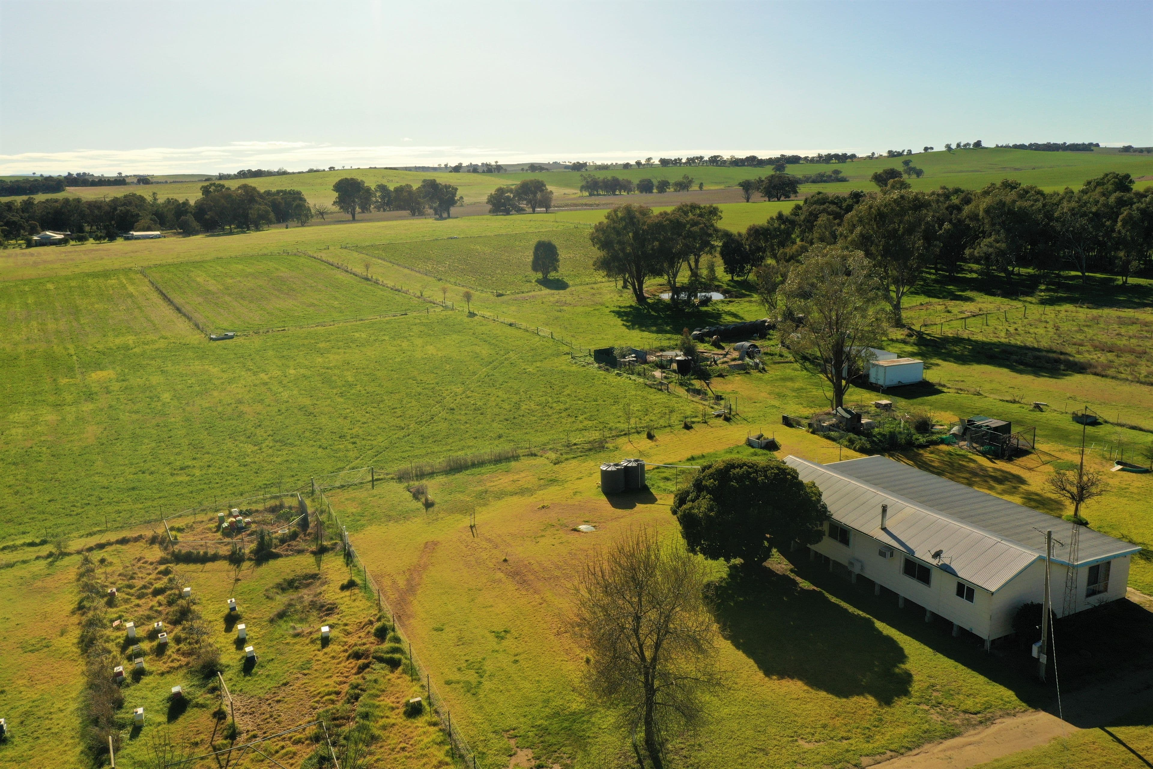 38 Fowler Street, Monteagle Via, Young NSW 2594, Monteagle - Thumbnail 4