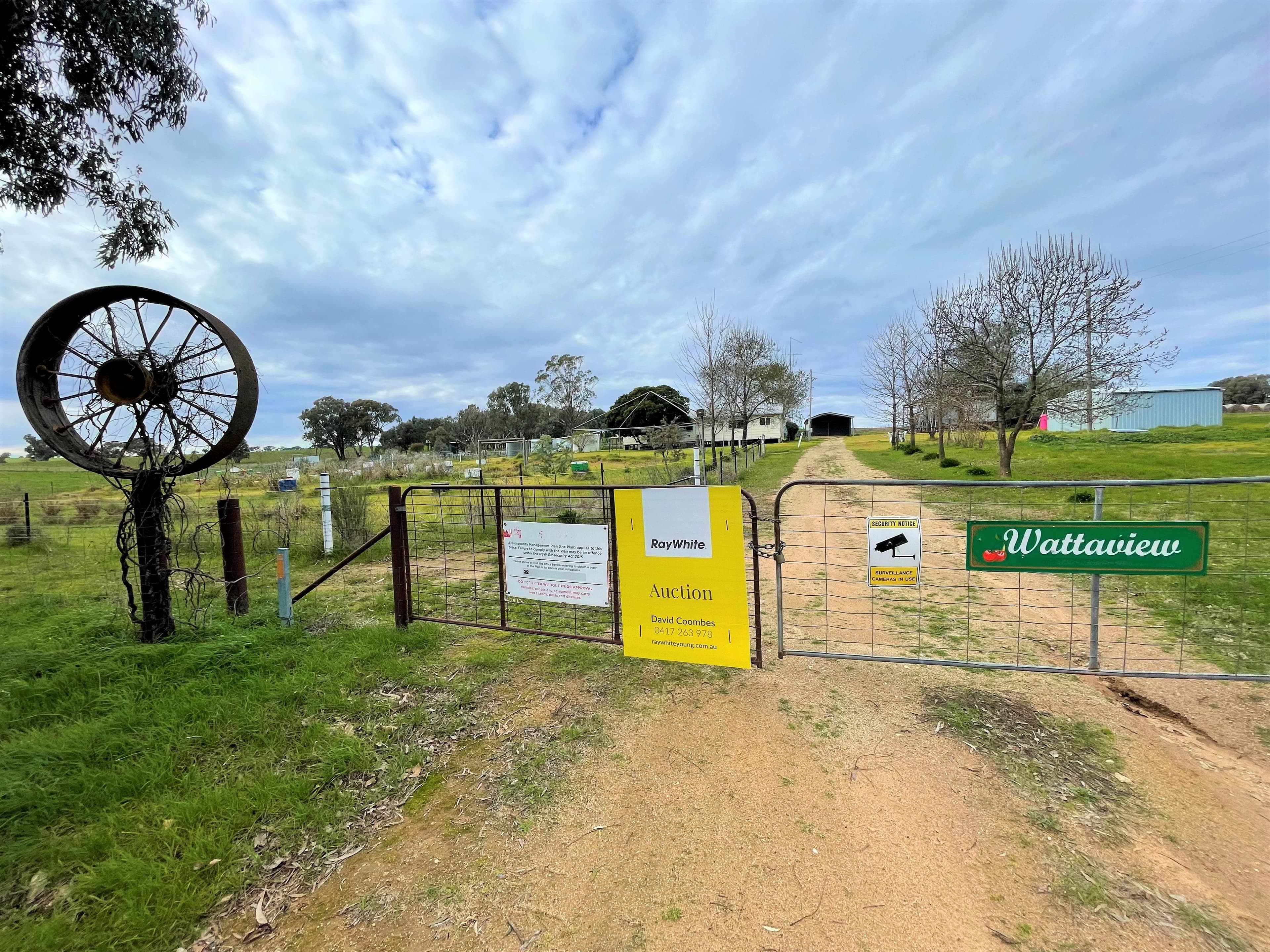 38 Fowler Street, Monteagle Via, Young NSW 2594, Monteagle - Thumbnail 5