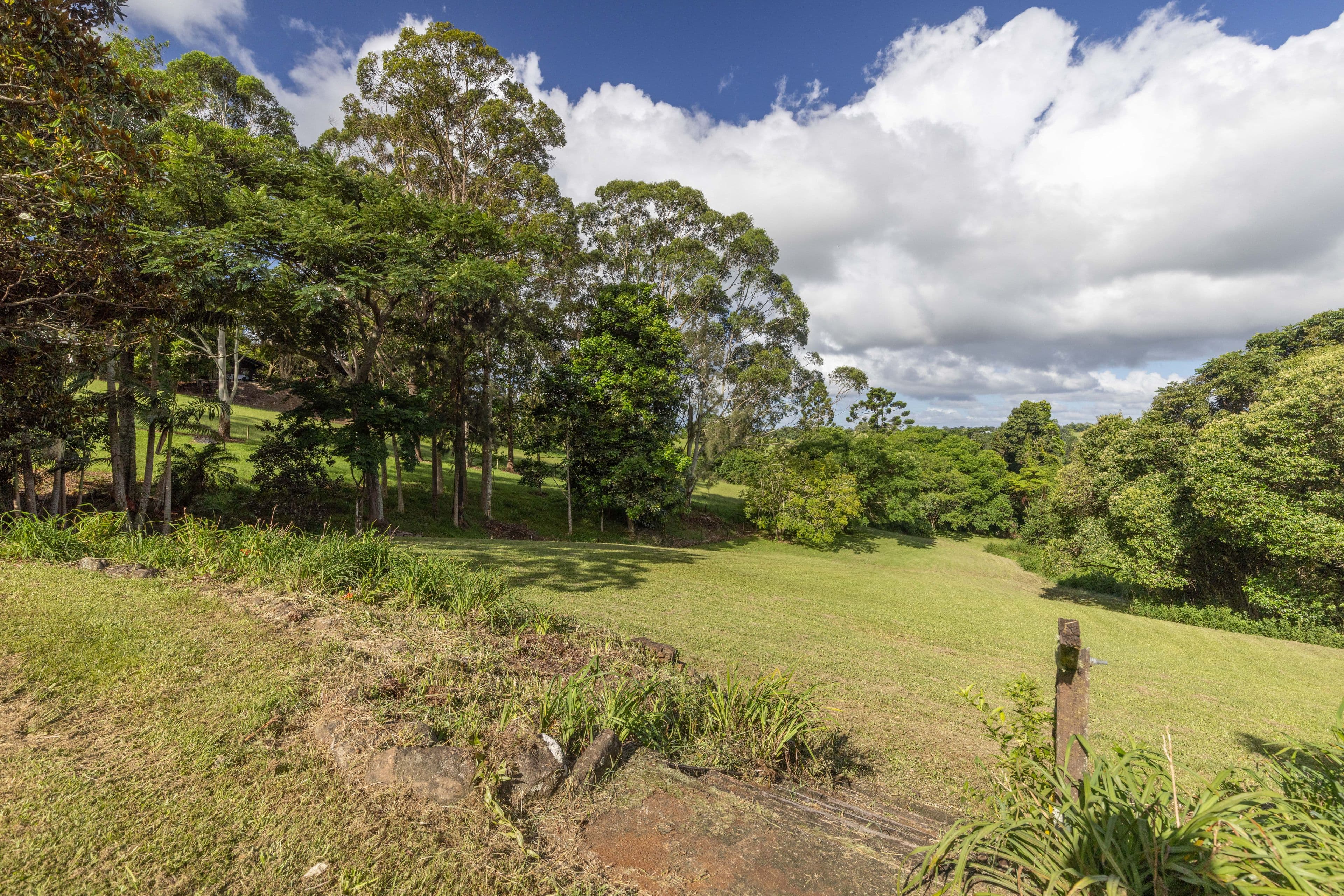 19 Avocado Lane, Maleny QLD 4552, Maleny - Thumbnail 4