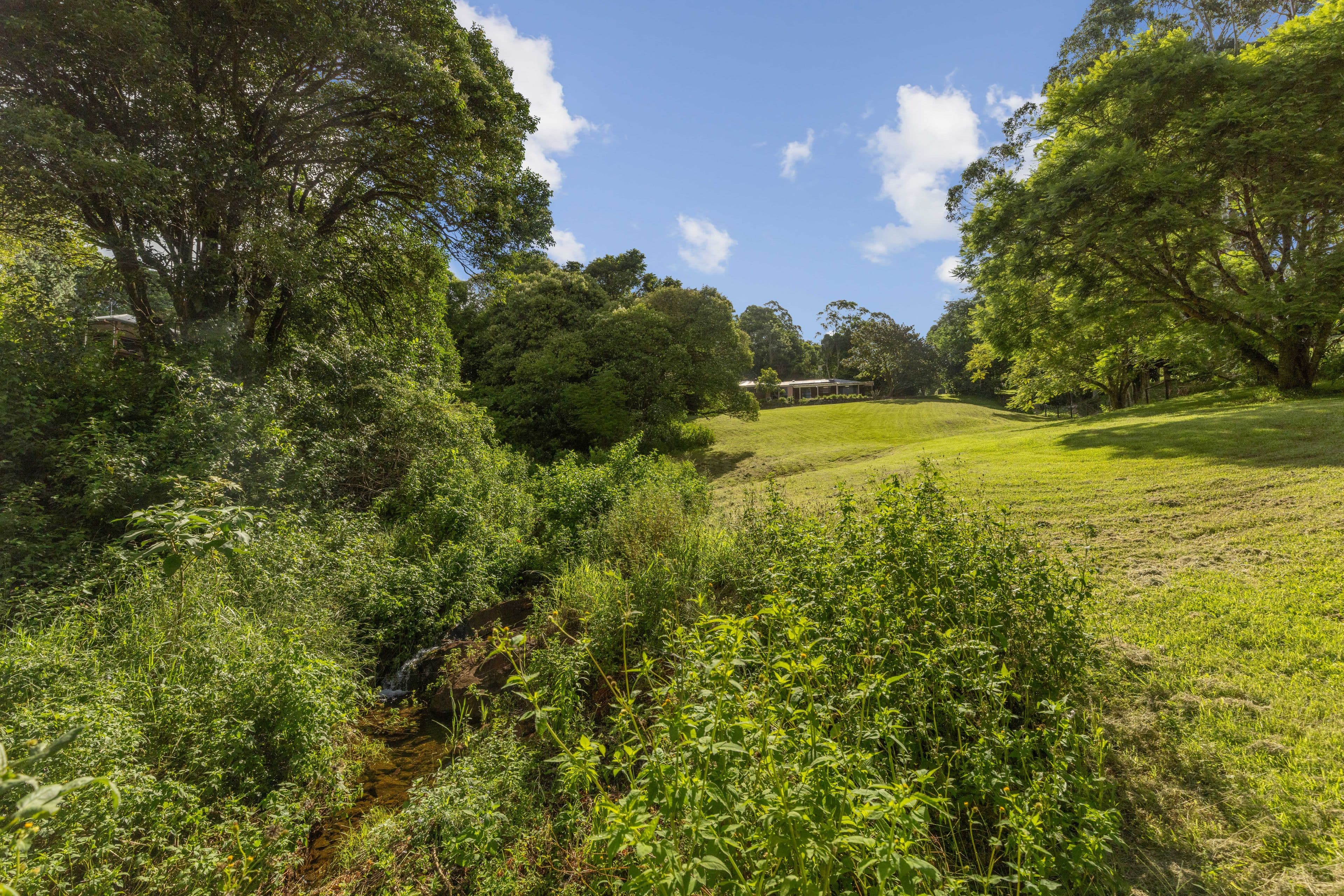 19 Avocado Lane, Maleny QLD 4552, Maleny - Thumbnail 5