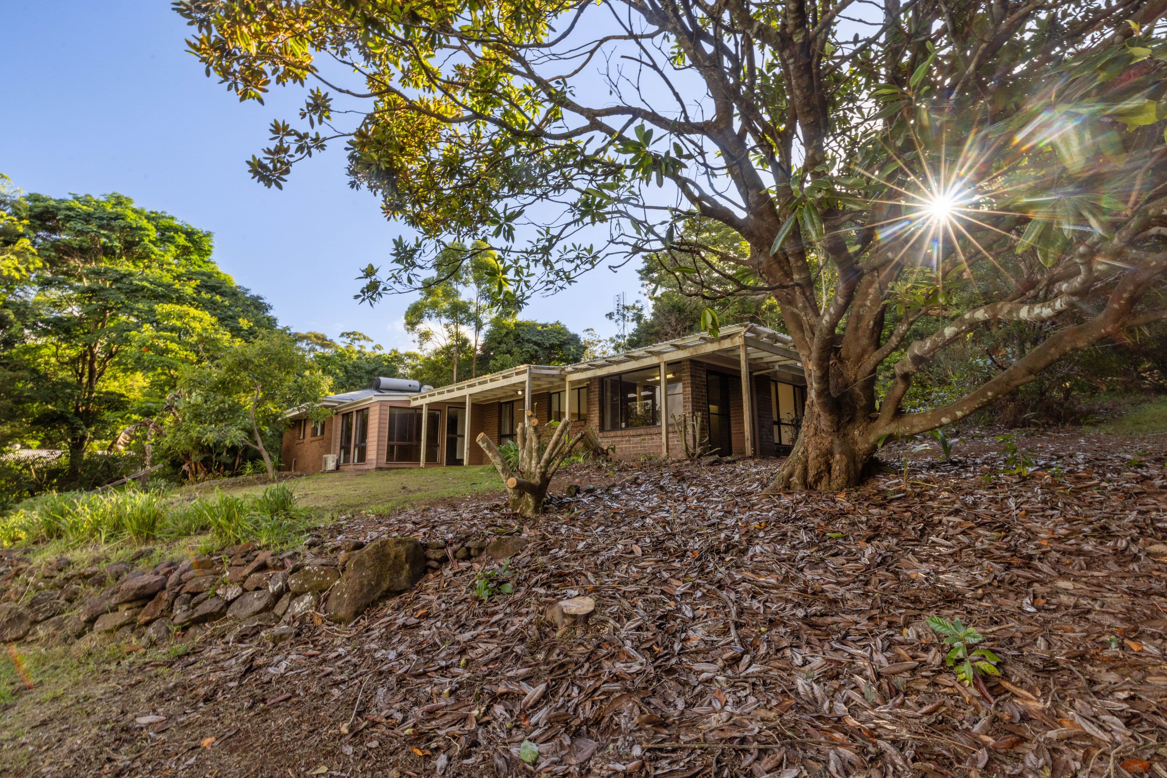 19 Avocado Lane, Maleny QLD 4552, Maleny - Thumbnail 7