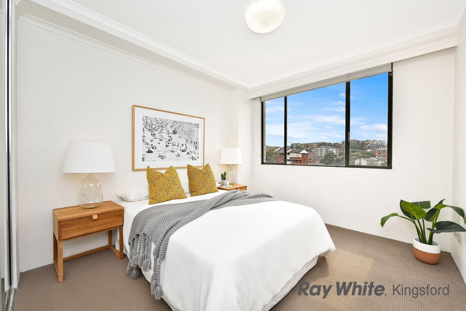 42-56 Harbourne Road, Kingsford NSW 2032, Kingsford - Thumbnail 7