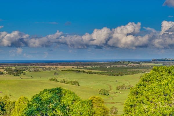 25 Pacific Highway, Knockrow NSW 2479, Knockrow - Thumbnail 2
