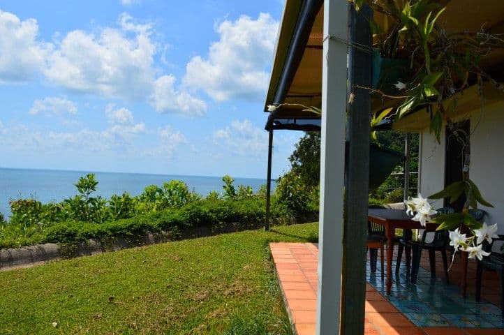 16 Cutten Street, Bingil Bay QLD 4852, Bingil Bay - Thumbnail 4