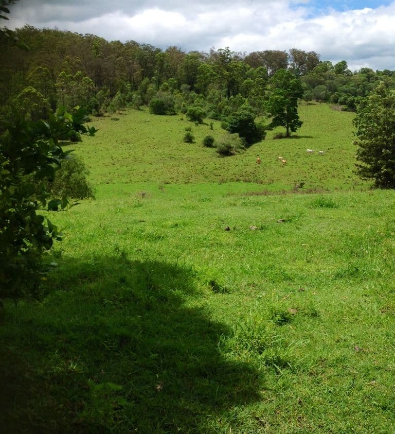 11271 Mt Lindesay Highway, BEAUDESERT QLD 4285, Beaudesert - Thumbnail 4