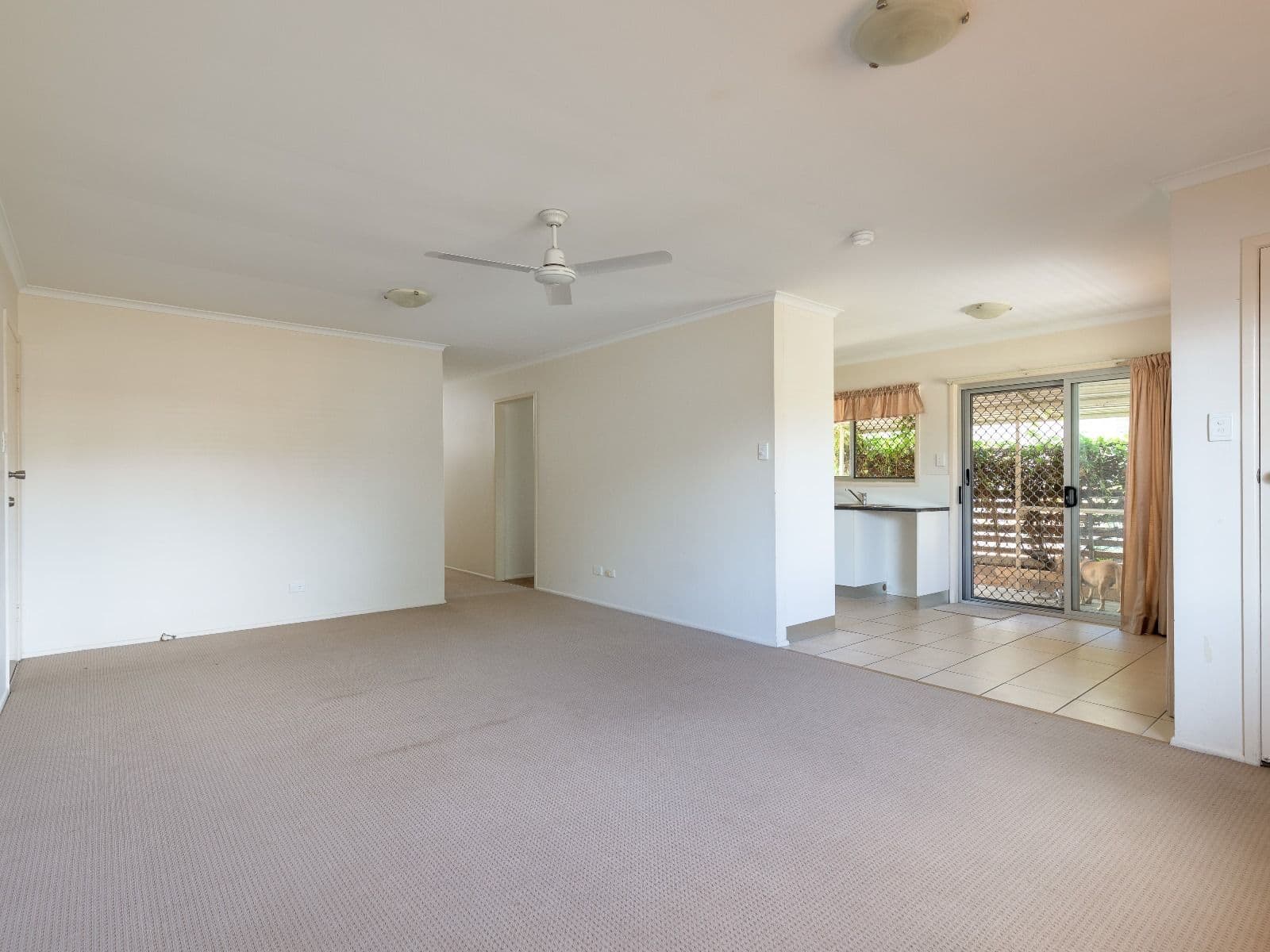 22 Pirramurra Street, Bracken Ridge QLD 4017, Bracken Ridge - Thumbnail 5
