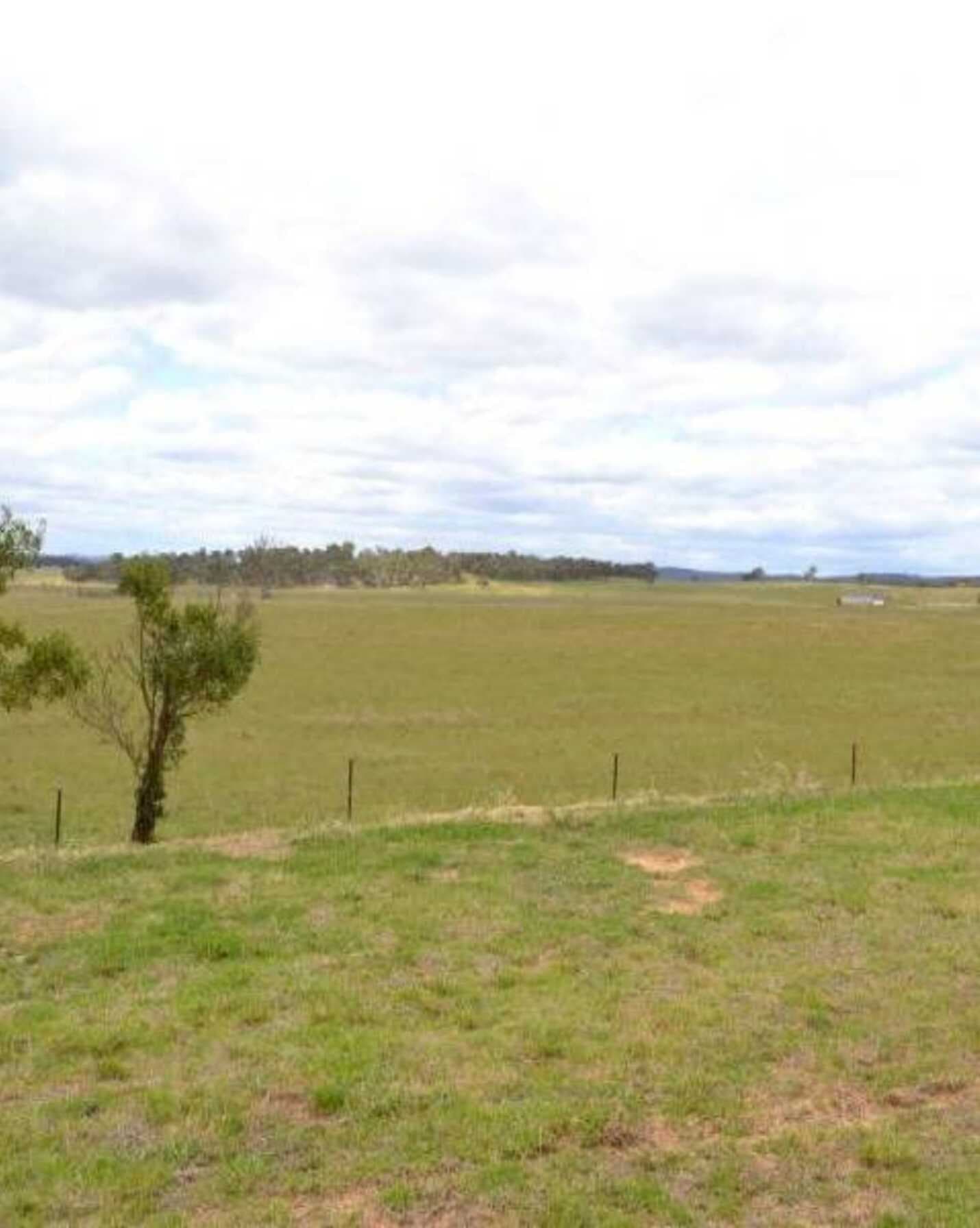 2204 Windellama Goulburn, Goulburn - Thumbnail 3