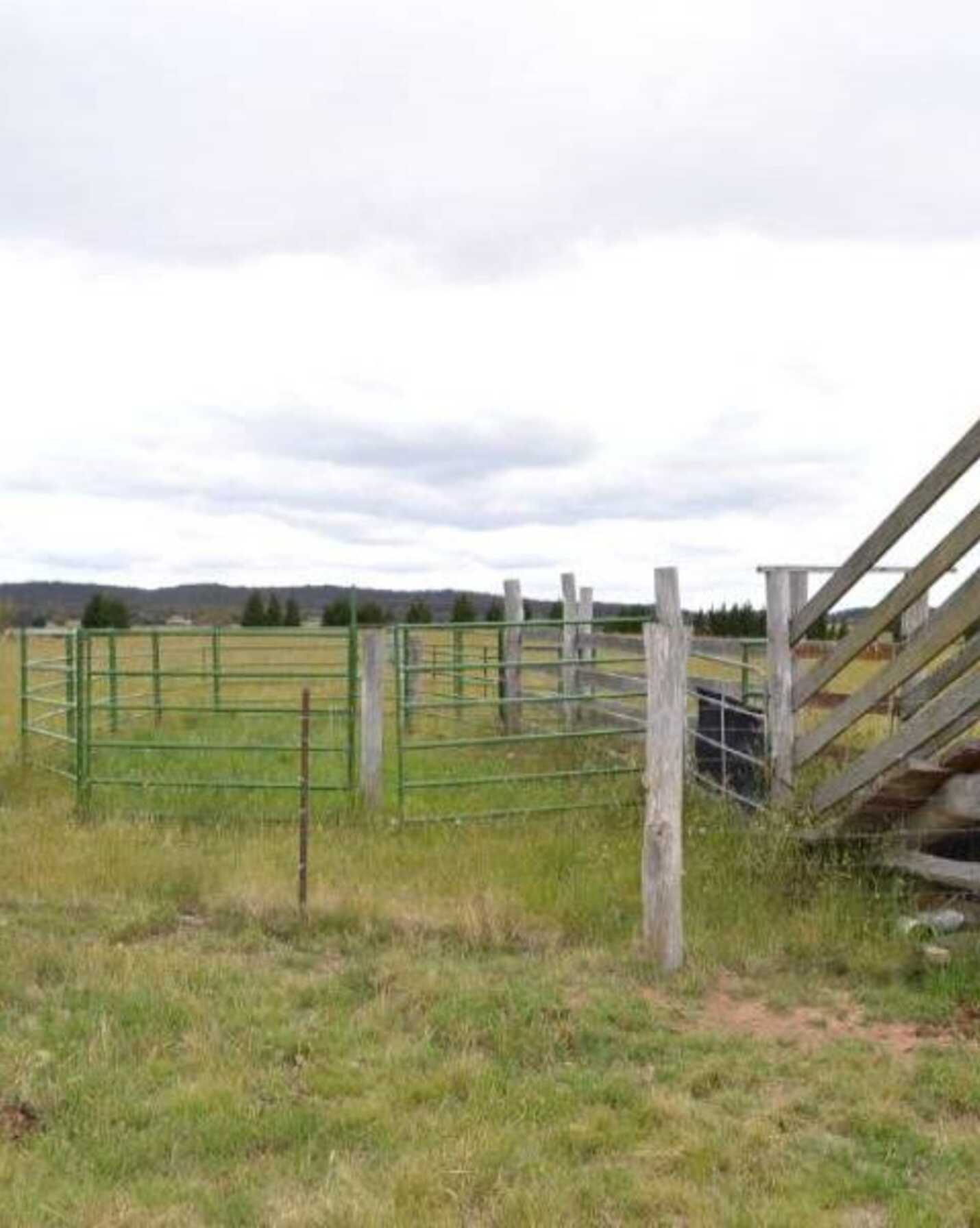 2204 Windellama Goulburn, Goulburn - Thumbnail 7