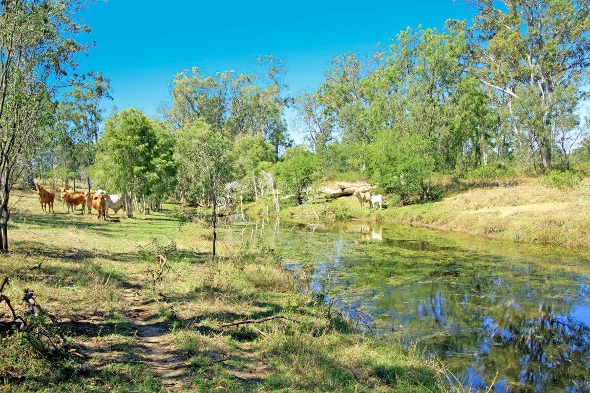 Lot 22 Boongary Road, GRACEMERE QLD 4702, Gracemere - Image 1
