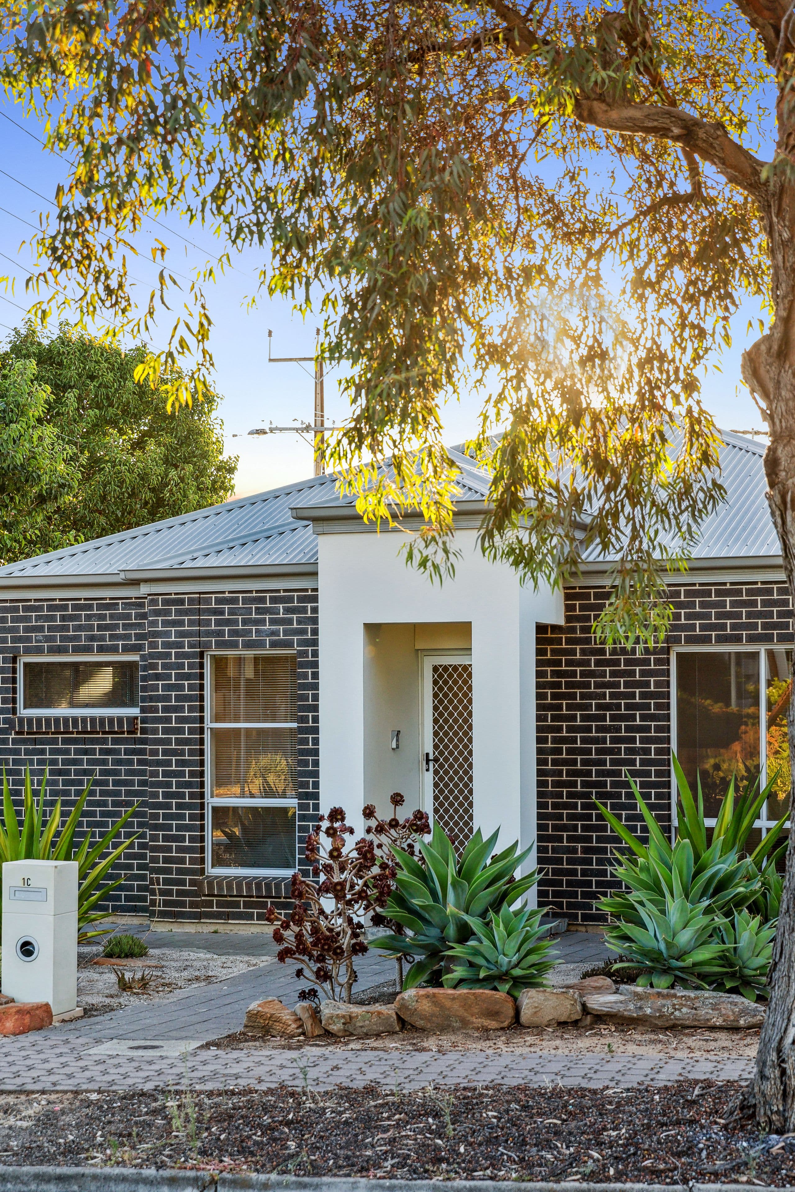 1C Dumfries Avenue, Northfield SA 5085, Northfield - Thumbnail 2