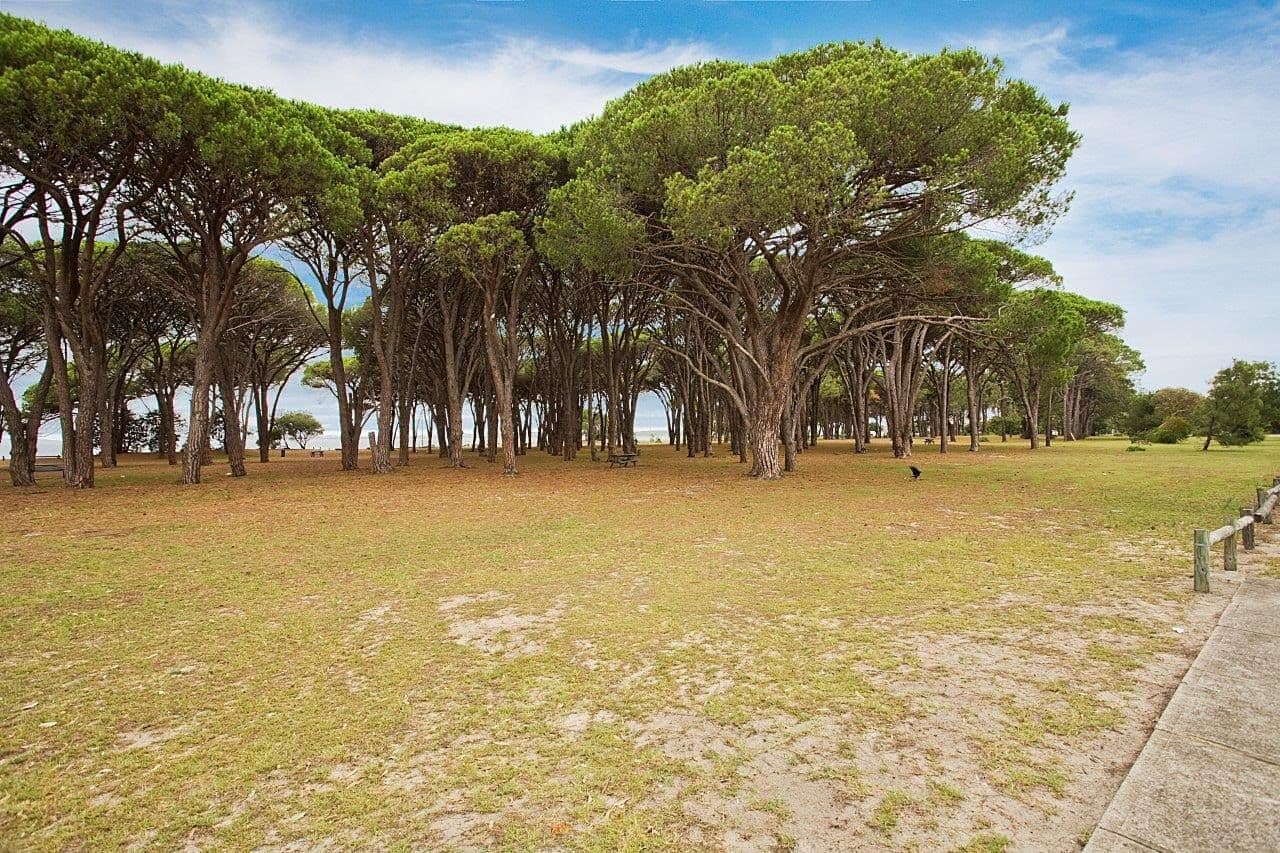 24 Selmon Street, Sans Souci - Thumbnail 7