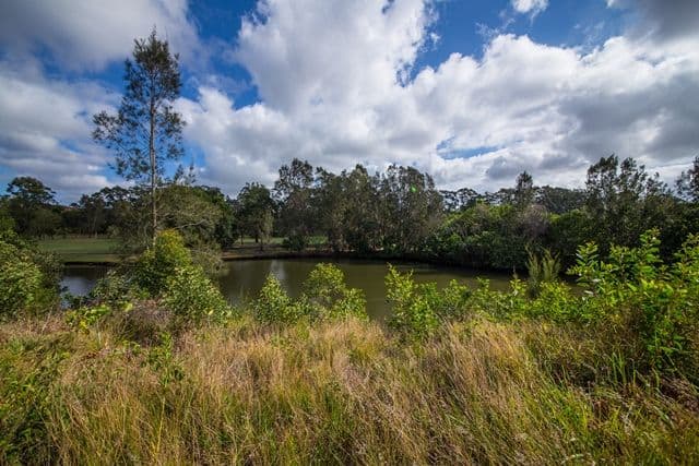22 Lyra Court, ROBINA QLD 4226, Robina - Thumbnail 3