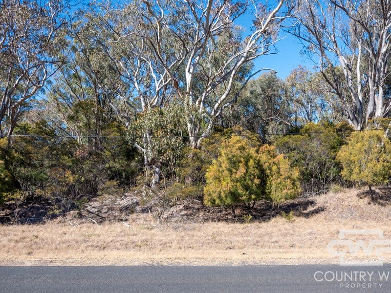 222 Strathbogie Road, Emmaville, Emmaville - Thumbnail 2