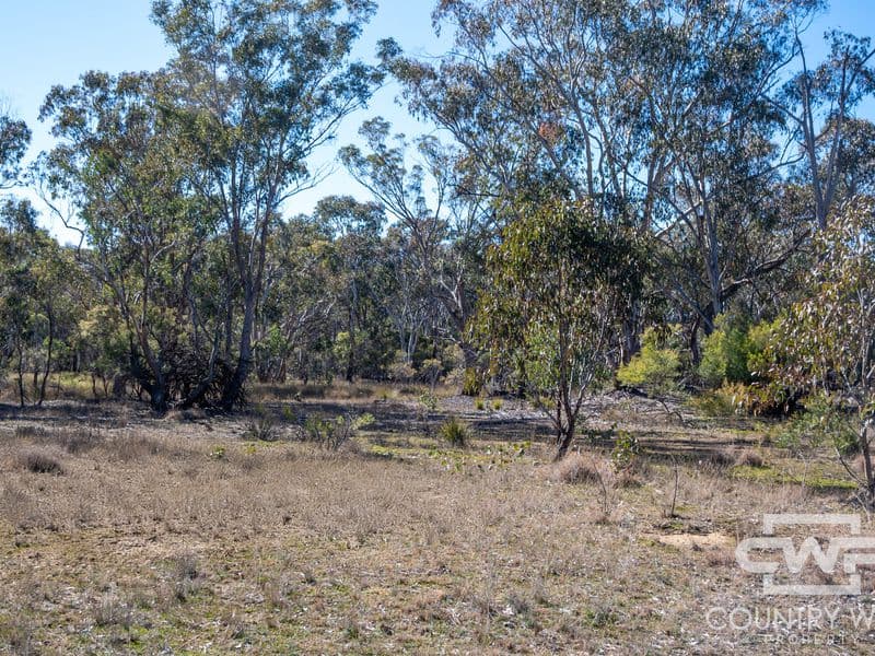 222 Strathbogie Road, Emmaville, Emmaville - Thumbnail 3