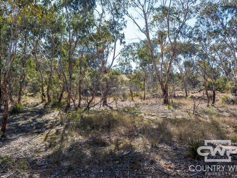 222 Strathbogie Road, Emmaville, Emmaville - Thumbnail 4