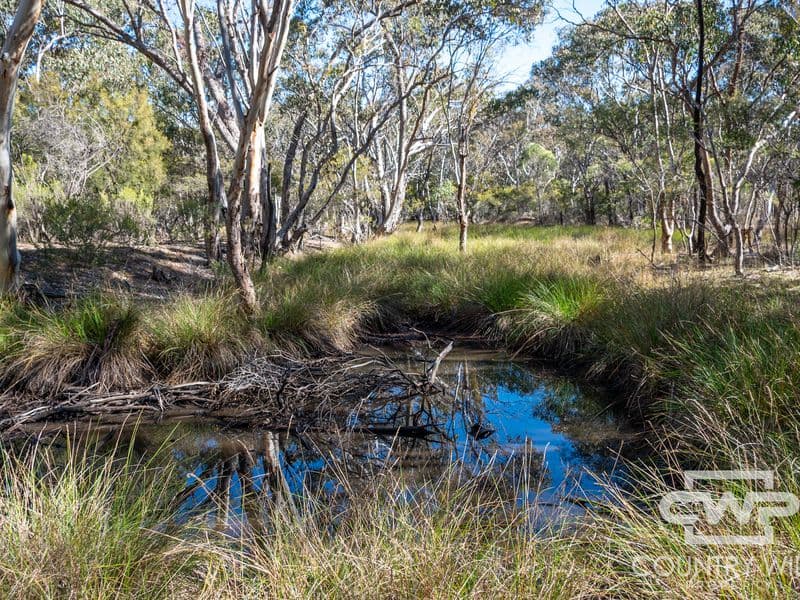 222 Strathbogie Road, Emmaville, Emmaville - Thumbnail 5