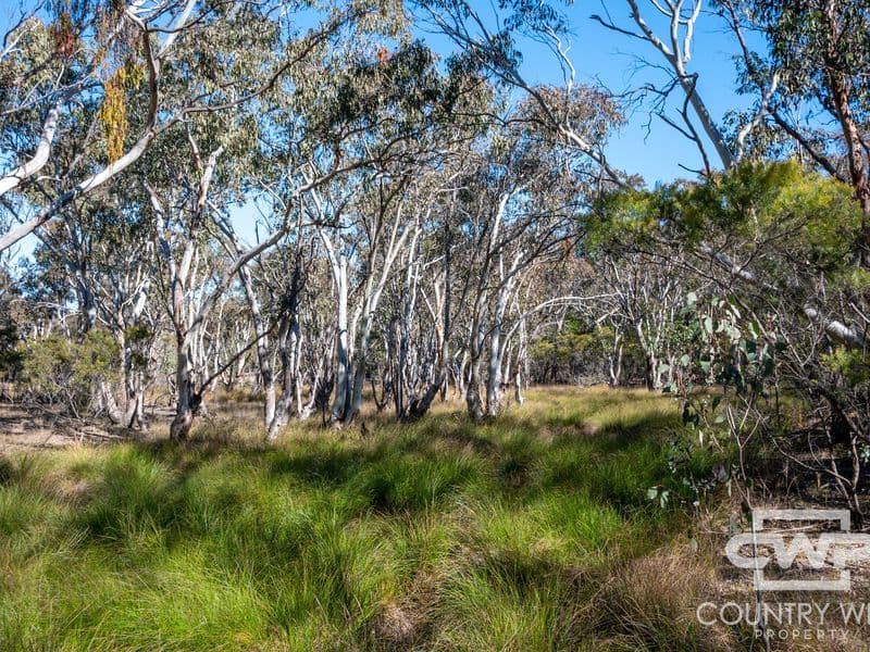 222 Strathbogie Road, Emmaville, Emmaville - Thumbnail 6