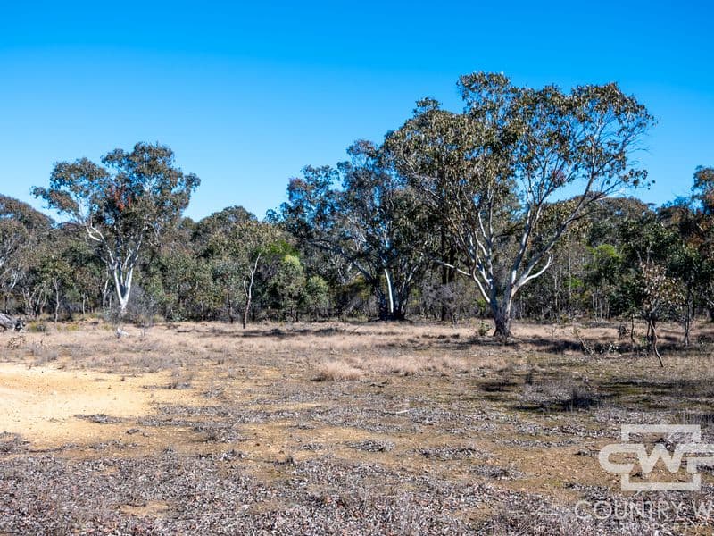 222 Strathbogie Road, Emmaville, Emmaville - Thumbnail 7