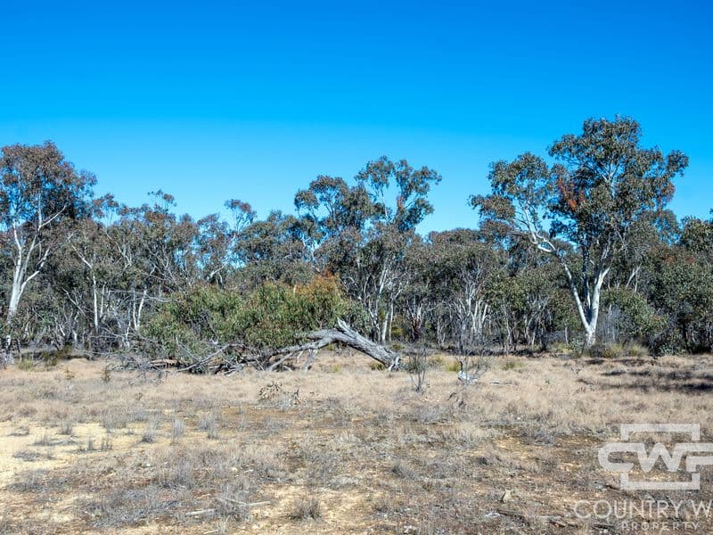 222 Strathbogie Road, Emmaville, Emmaville - Thumbnail 8