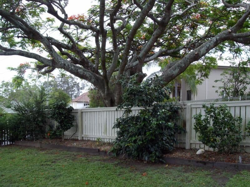 24 Florida Street, MORNINGSIDE QLD 4170, Morningside - Thumbnail 2