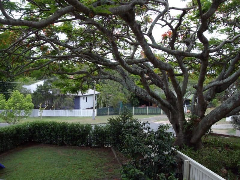 24 Florida Street, MORNINGSIDE QLD 4170, Morningside - Thumbnail 7