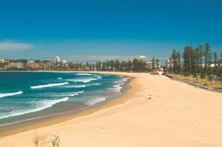 127 Crown Road, Queenscliff NSW 2096, Queenscliff - Thumbnail 6
