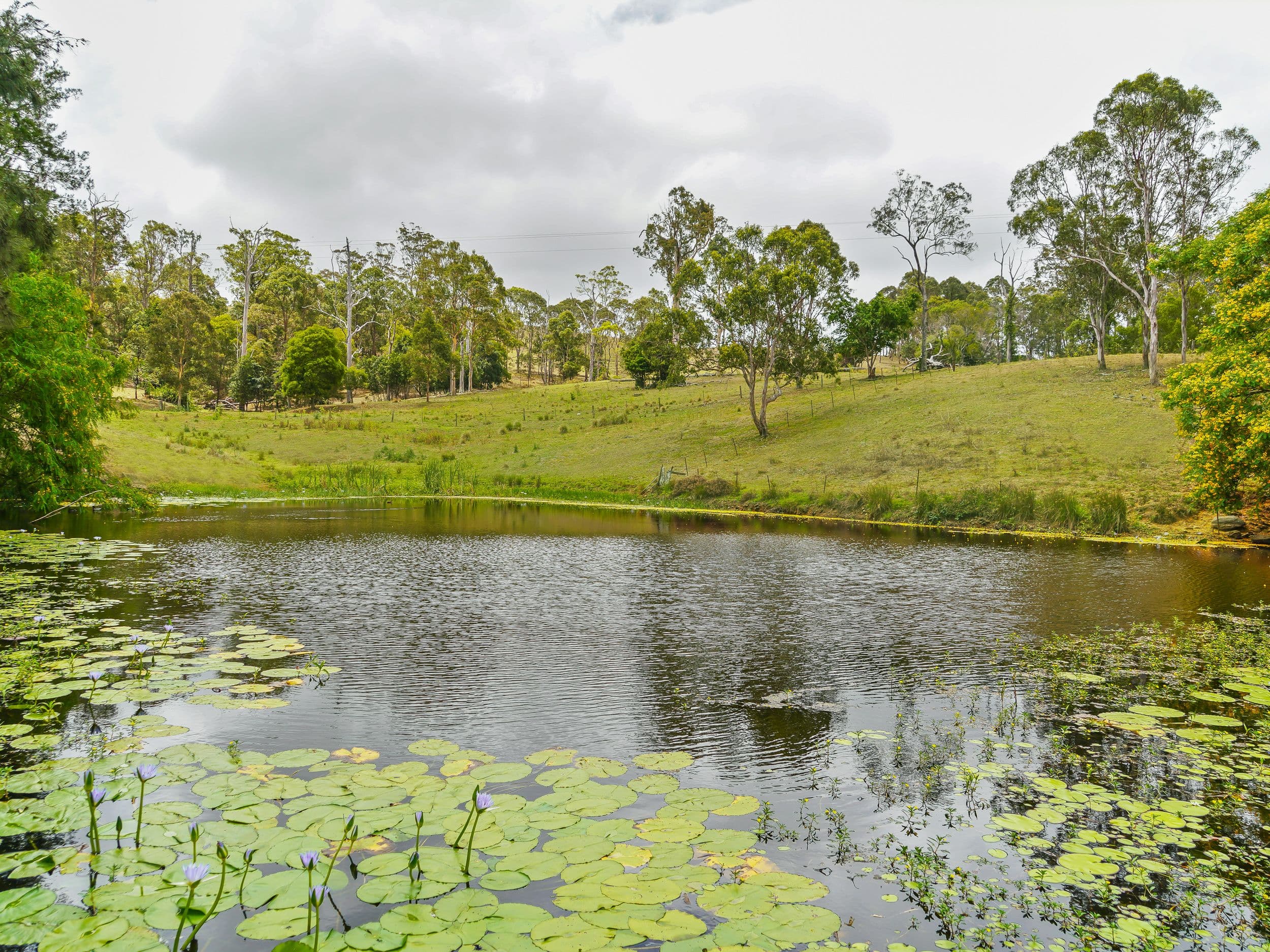 148A&B Ocean View Road, Ocean View QLD 4521, Ocean View - Thumbnail 2
