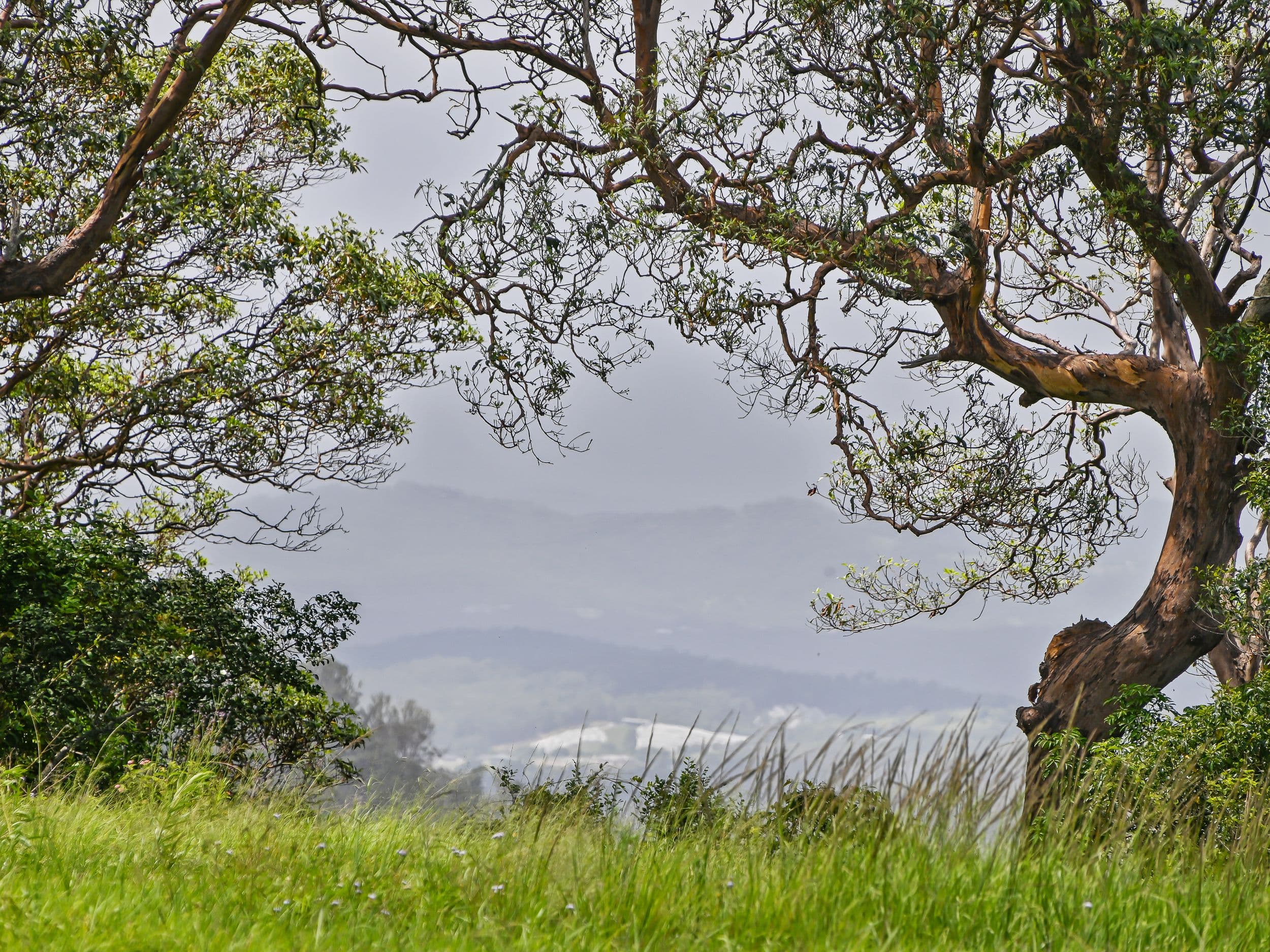 148A&B Ocean View Road, Ocean View QLD 4521, Ocean View - Thumbnail 6
