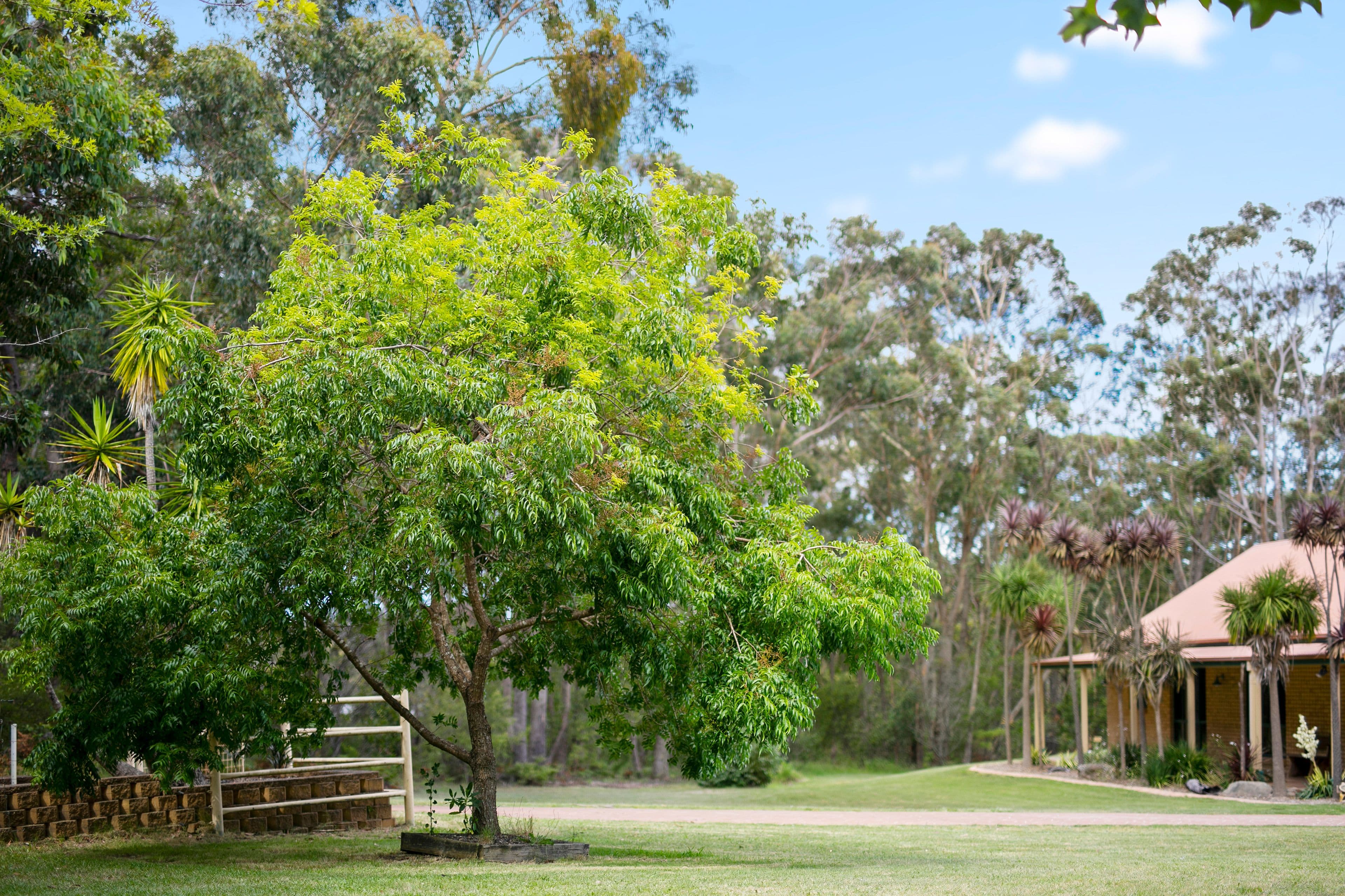 13 Boyle Terrace, Burnside - Thumbnail 7