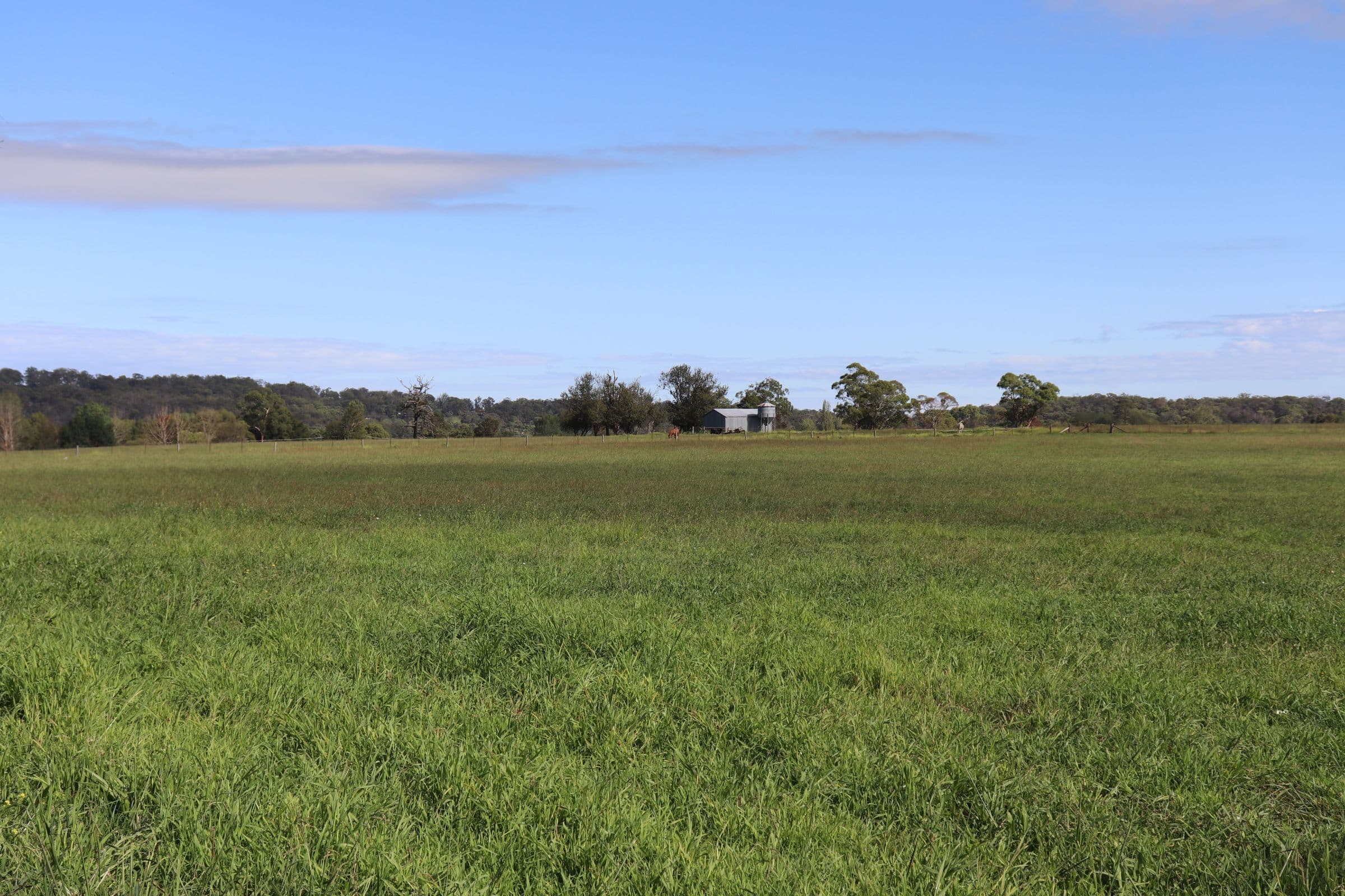 9780 New England Highway, Glen Innes NSW 2370, Glen Innes - Thumbnail 6