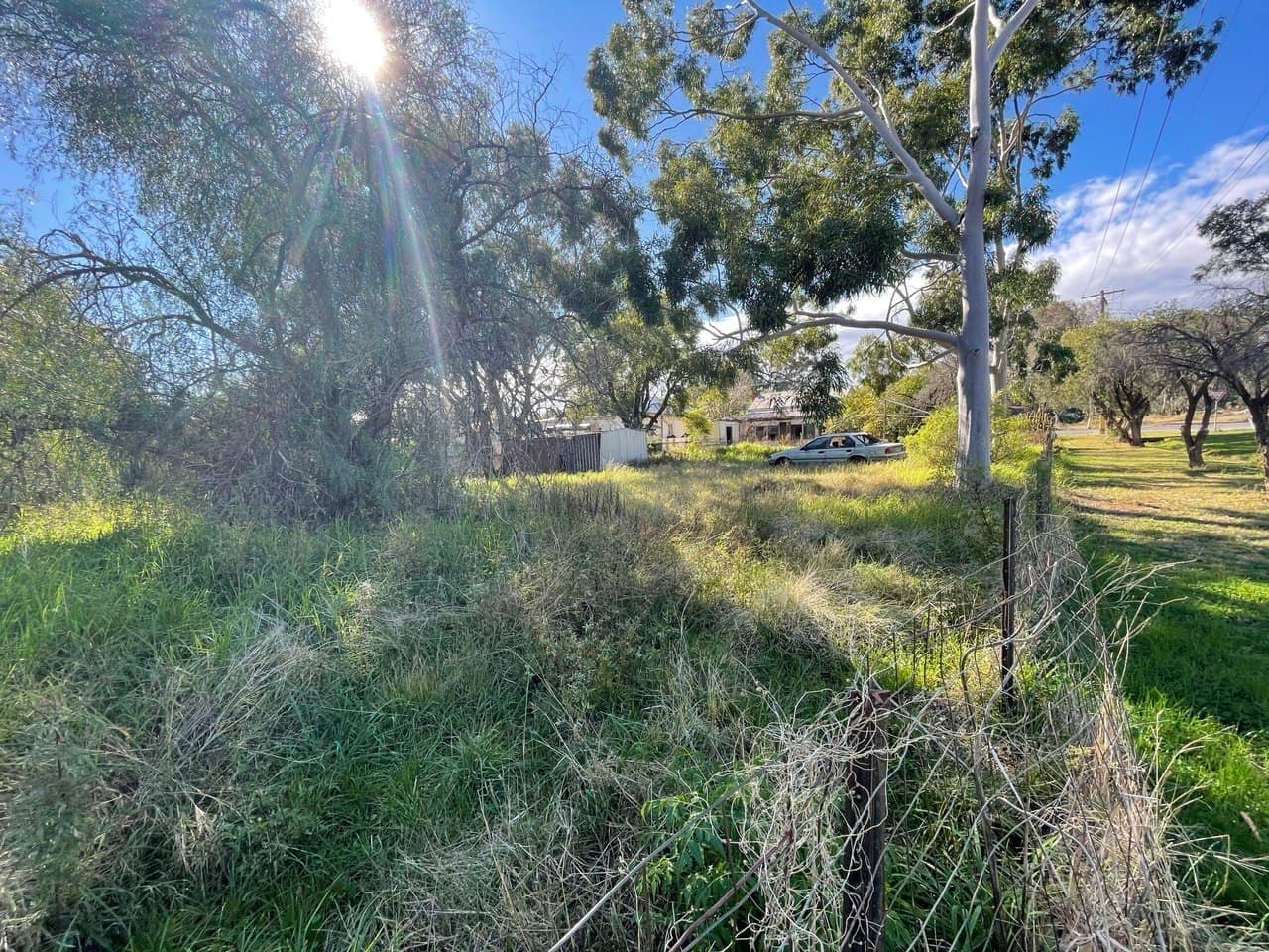 20 Caswell Street, Peak Hill NSW 2869, Peak Hill - Thumbnail 3