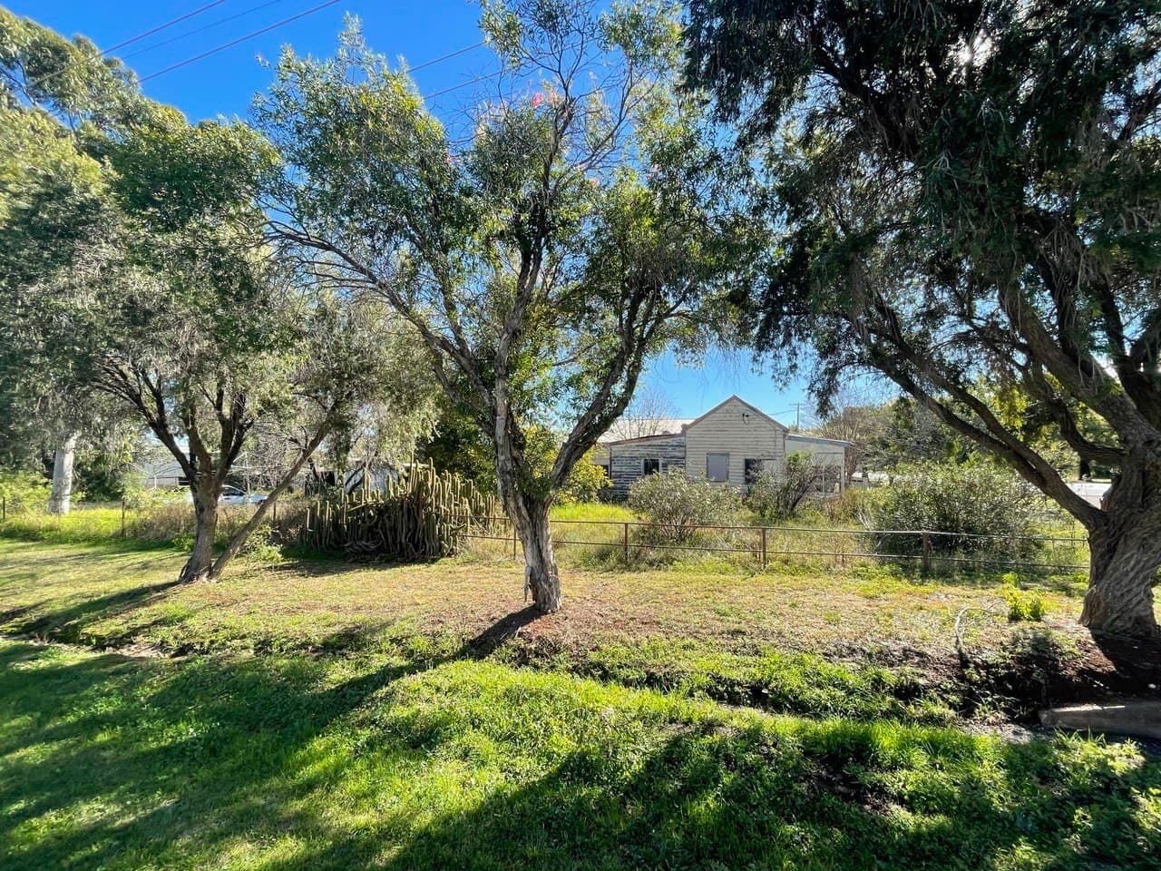 20 Caswell Street, Peak Hill NSW 2869, Peak Hill - Thumbnail 4
