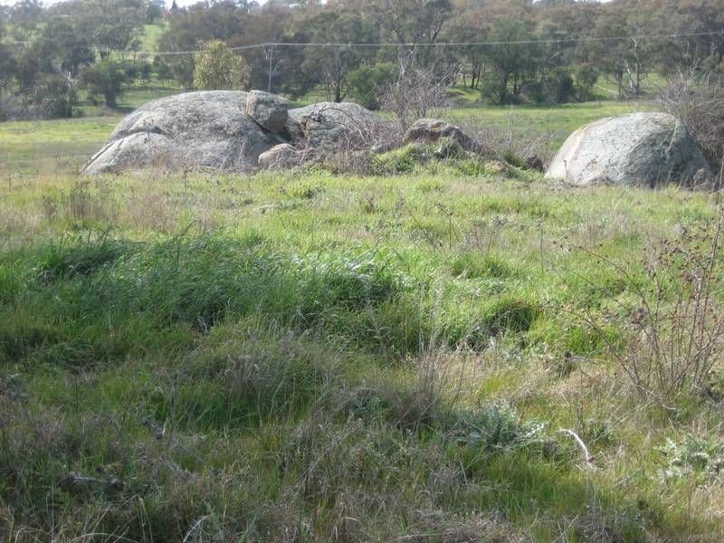 35 Rowleys Road, YOUNG NSW 2594, Young - Thumbnail 2