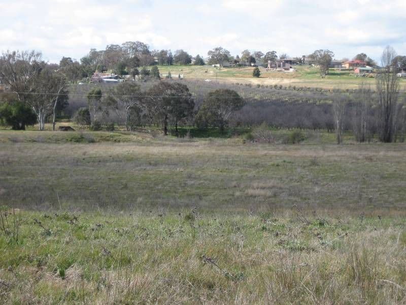 35 Rowleys Road, YOUNG NSW 2594, Young - Thumbnail 4