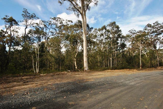 97 Jerberra Road, Tomerong NSW 2540, Tomerong - Thumbnail 3