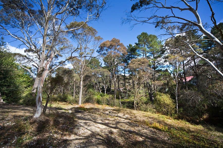 20-26 Wombat Street, BLACKHEATH NSW 2785, Blackheath - Thumbnail 4
