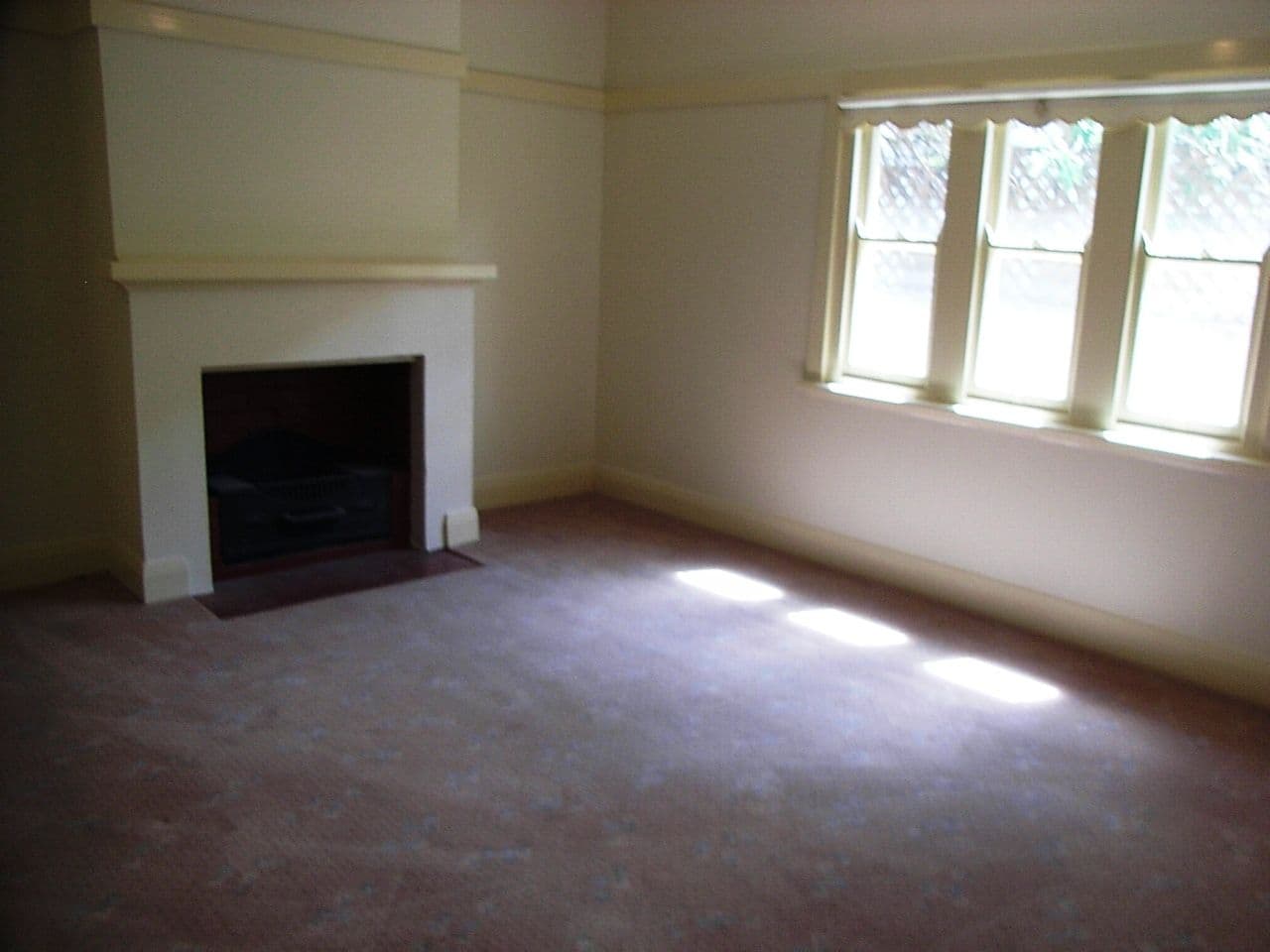 56 Roderick Street, TAMWORTH NSW 2340, East Tamworth - Thumbnail 8