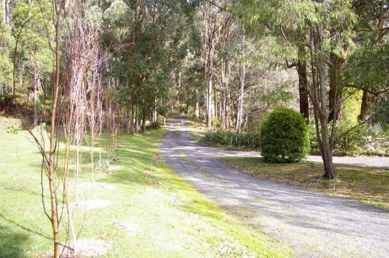 16 Simon Avenue, Officer, VIC, 3809, Officer - Thumbnail 6