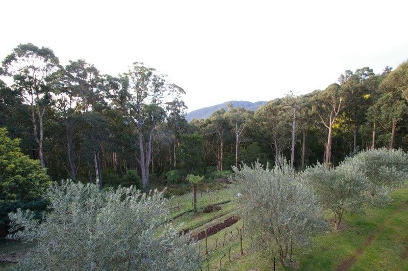 16 Simon Avenue, Officer, VIC, 3809, Officer - Thumbnail 8