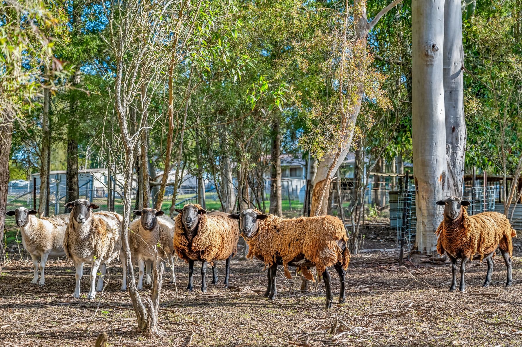 94 View Street, Vacy NSW 2421, Vacy - Thumbnail 6