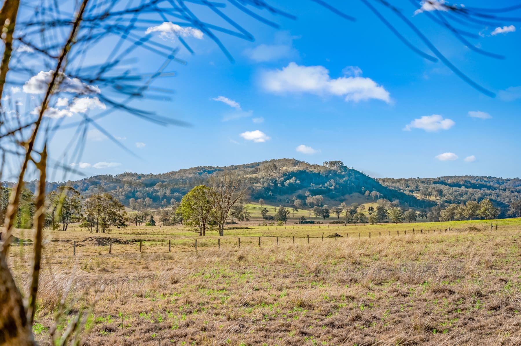 94 View Street, Vacy NSW 2421, Vacy - Thumbnail 7