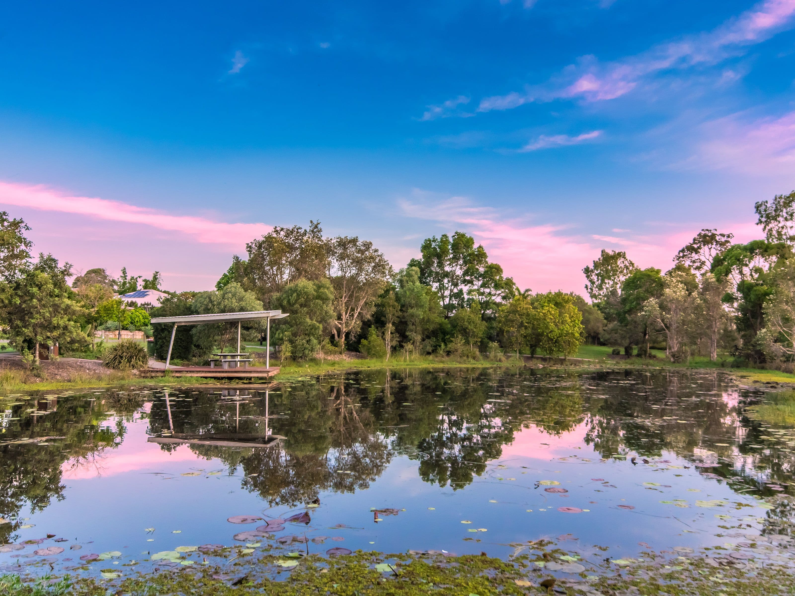 4 Burton Lane, Coomera QLD 4209, Coomera - Thumbnail 5