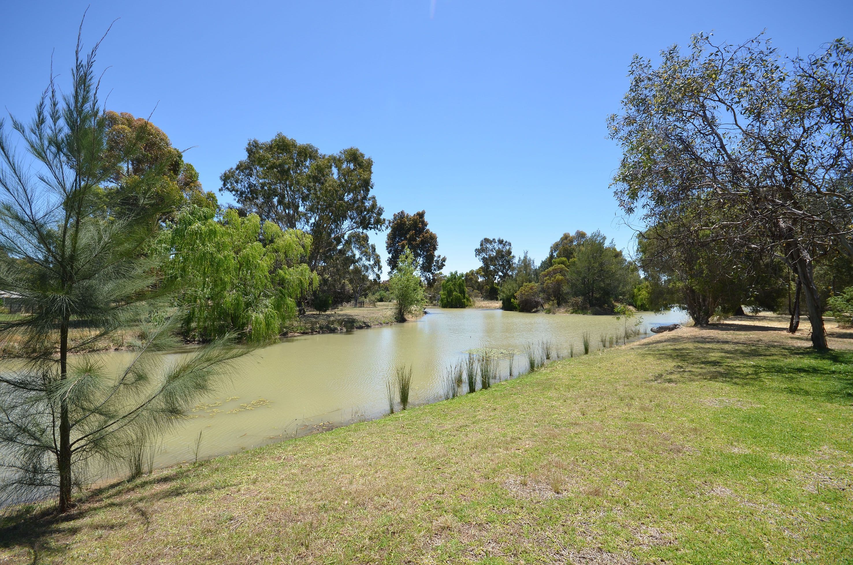 33 O'Sullivan Road, Echuca VIC 3564, Echuca - Thumbnail 5