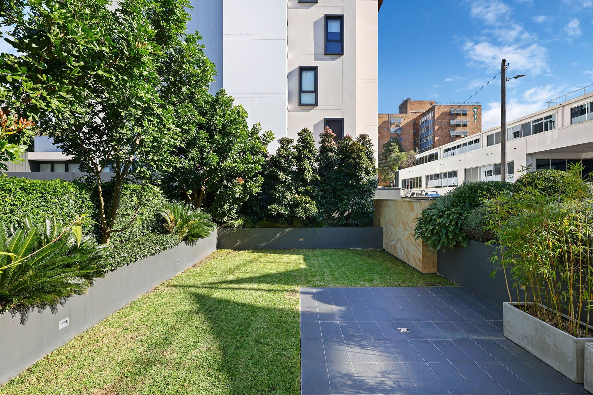 15 Marshall Avenue, St Leonards NSW 2065, St Leonards - Thumbnail 3