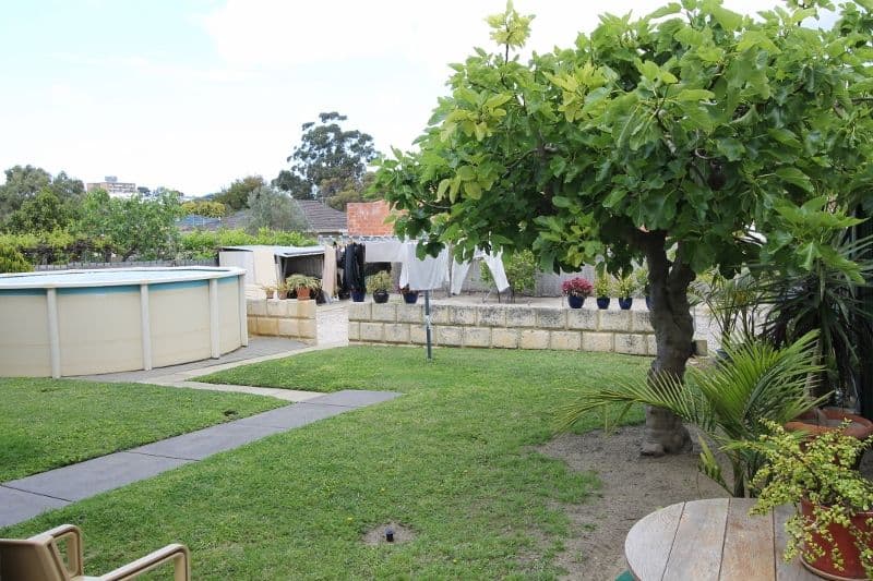 247 Charles Street, NORTH PERTH WA 6006, North Perth - Thumbnail 4