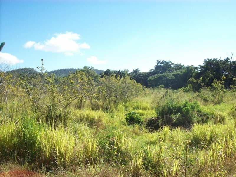 Lot 1 Paluma Road, CANNONVALE QLD 4802, Cannonvale - Image 1